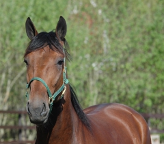 Random Shot 130513-3